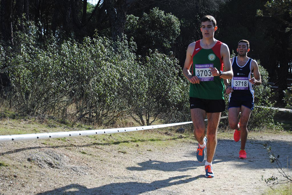 gal-XXI